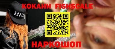 гидра Гусев