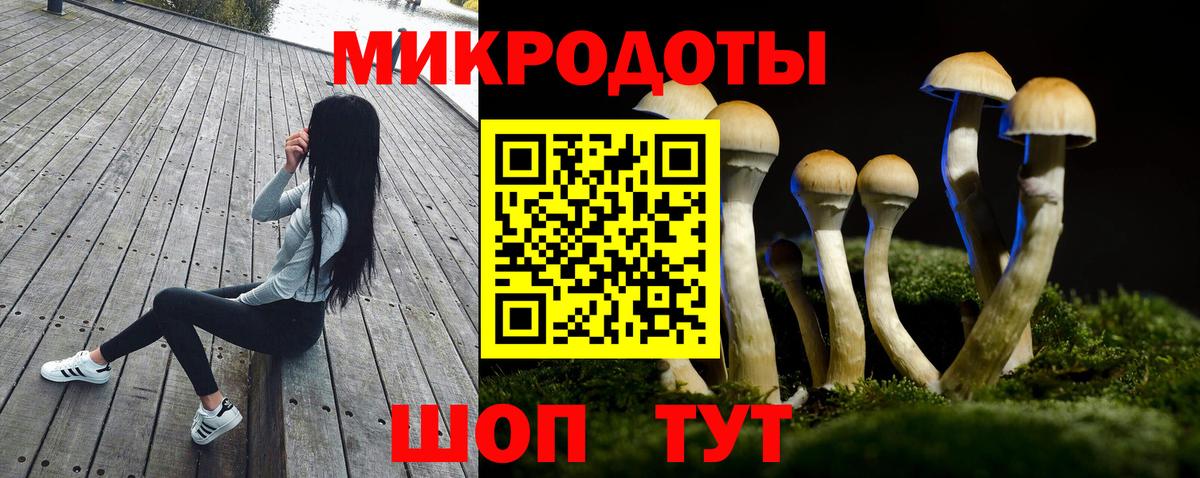 Глазов  Псилоцибиновые грибы MAGIC MUSHROOMS  Вход с VPN 